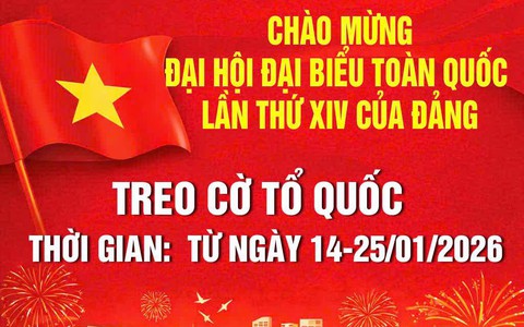 TREO CỜ TỔ QUỐC CHÀO MỪNG ĐẠI HỘI ĐẠI BIỂU TOÀN QUỐC LẦN THỨ XIV CỦA ĐẢNG