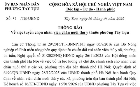 Thông báo số 57/TB-UBND ngày 20/01/2026 của UBND phường Tây Tựu về việc tuyển chọn nhân viên chăn nuôi thú y thuộc phường Tây Tựu