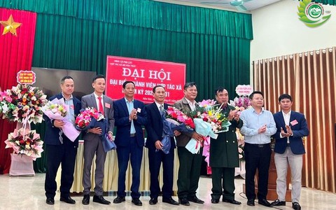 HỢP TÁC XÃ NÔNG NGHIỆP HÒA TRÚC TỔ CHỨC ĐẠI HỘI NHIỆM KỲ 2021–2026