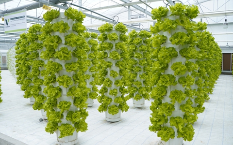 Video: Chuỗi rau sạch V-Garden - Hướng phát triển nông nghiệp hiện đại