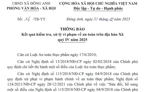 Kết quả kiểm tra, xử lý vi phạm về an toàn trên địa bàn xã Đông Anh quý IV năm 2025
