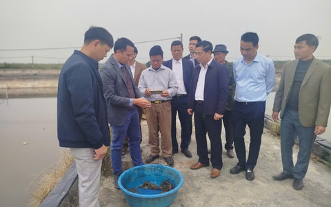 XÃ ỨNG HÒA HỌC TẬP KINH NGHIỆM TỪ MÔ HÌNH NUÔI CUA CÀ RA TẠI NINH BÌNH VÀ HƯNG YÊN.