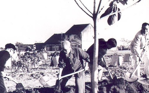 60 năm trước, Bác Hồ mở đầu Tết trồng cây