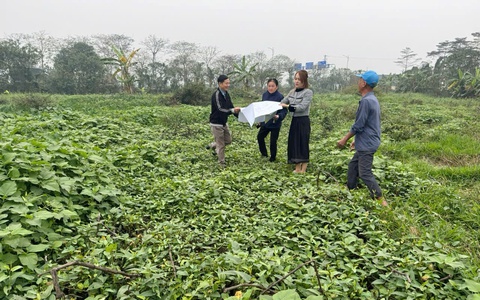 TỔ CHỨC CƯỠNG CHẾ KIỂM ĐẾM BẮT BUỘC PHỤC VỤ DỰ ÁN HẠ TẦNG KỸ THUẬT KHU ĐẤT ĐẤU GIÁ
