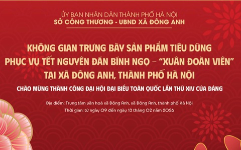 Không gian trưng bày sản phẩm tiêu dùng phục vụ Tết Nguyên Đán Bính Ngọ - 