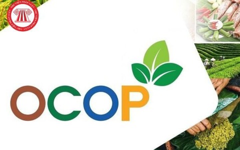 Giới thiệu các sản phẩm OCOP trên địa bàn phường Giảng Võ