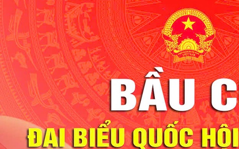 THÔNG BÁO KHU VỰC BỎ PHIẾU TRÊN ĐỊA BÀN PHƯỜNG LĨNH NAM