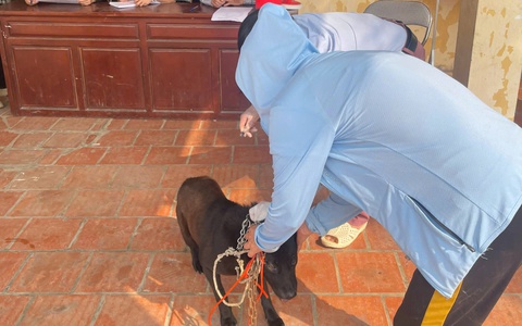 Tăng cường truyền thông nâng cao nhận thức của người dân về bệnh dại