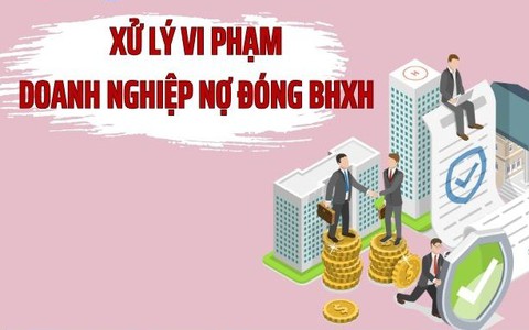 Tình hình nợ đọng BHXH, BHYT, BHTN tháng 02 năm 2026