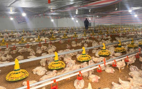 Hiệu quả nguồn vốn vay Ngân hàng CSXH ở Đoài Phương

