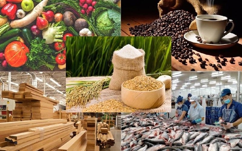 Đăng tải thông tin hộ kinh doanh đã thực hiện tự công bố sản phẩm lĩnh vực Nông lâm thủy sản