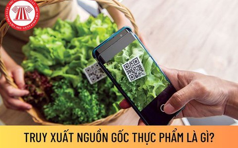Mỗi người dân cần mua bán và sử dụng thực phẩm rõ nguồn gốc
