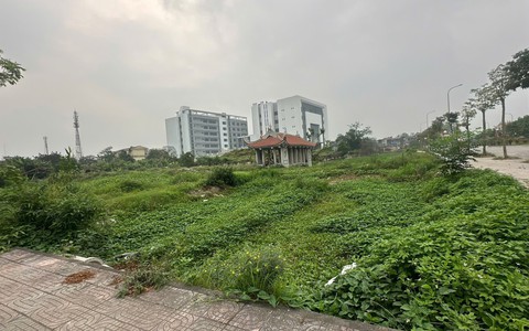 Thường Tín sẽ cưỡng chế thu hồi đất của 22 gia đình xây dựng Vườn hoa Nguyễn Du