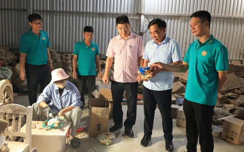 Nông dân xã Thường Tín thúc đẩy phát triển kinh tế thông qua nguồn vốn vay ưu đãi