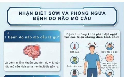 Nhận biết sớm và phòng ngừa bệnh do não mô cầu