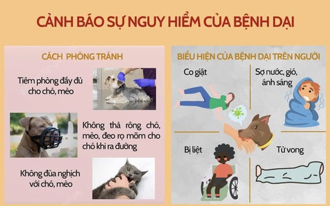 Đẩy mạnh công tác phòng, chống bệnh dại trong cộng đồng