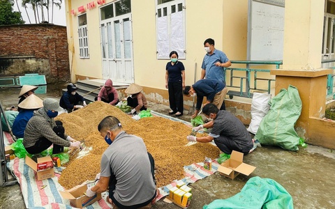 Trung tâm dịch vụ tổng hợp xã Phú Nghĩa tăng cường hướng dẫn diệt chuột bảo vệ lúa vụ xuân