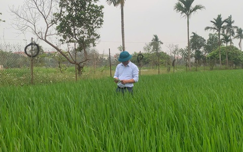 Tiến Thắng chủ động phòng trừ sâu bệnh gây hại cây trồng vụ Xuân