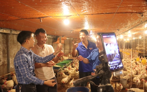 Đại Xuyên: Livestream trực tiếp tại trang trại để quảng bá nông sản OCOP