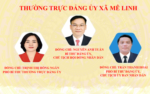 Giới thiệu bộ máy tổ chức của xã Mê Linh