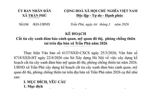 Xã Trần Phú triển khai kế hoạch cắt tỉa cây xanh, đảm bảo mỹ quan và phòng chống thiên tai năm 2026