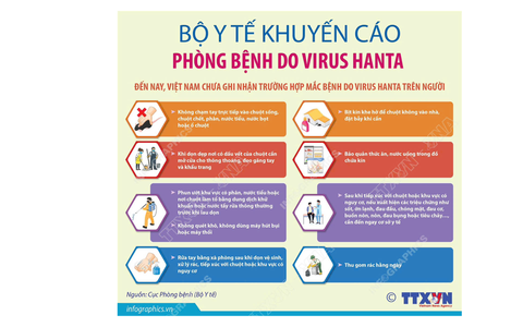 Bộ Y tế Khuyến cáo các biện pháp chủ động phòng bệnh do Virus Hanta