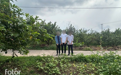 Nhanh chóng truy bắt nhóm đối tượng cướp tài sản manh động trên địa bàn phường Long Biên
