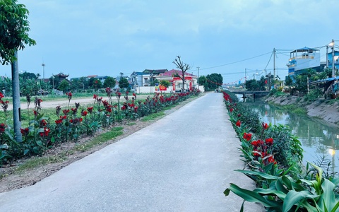 Cụ bà 82 tuổi âm thầm “dệt” sắc hoa trên đường quê