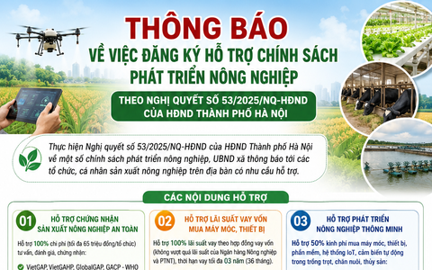 THÔNG BÁO
Về việc đăng ký hỗ trợ chính sách phát triển nông nghiệp theo Nghị quyết số 53/2025/NQ-HĐND của HĐND Thành phố Hà Nội
