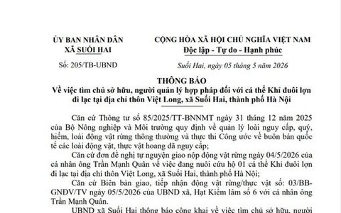 THÔNG BÁO

Về việc tìm chủ sở hữu, người quản lý hợp pháp đối với cá thể Khỉ đuôi lợn đi lạc tại địa chỉ thôn Việt Long, xã Suối Hai, thành phố Hà Nội