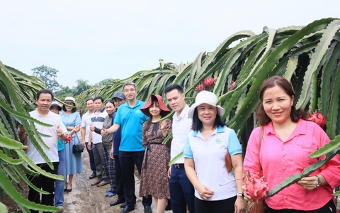 HỘI NÔNG DÂN THÀNH PHỐ HÀ NỘI TỔ CHỨC THĂM QUAN, HỌC TẬP MÔ HÌNH KINH TẾ TIÊU BIỂU TẠI XÃ THƯ LÂM