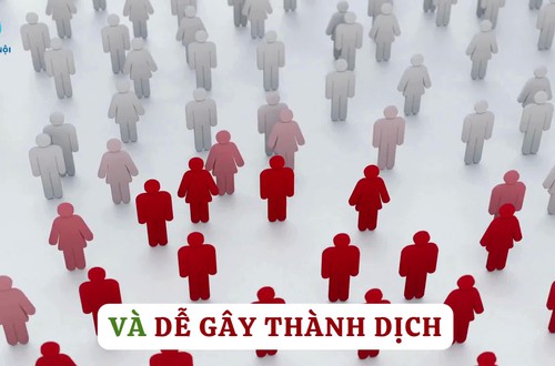 Bệnh viêm màng não mô cầu và các biện pháp phòng chống