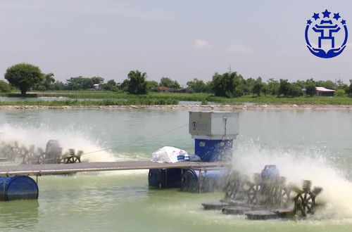 Hà Nội: Hỗ trợ 100% giá trị vật nuôi thủy sản không di chuyển được khi thu hồi đất