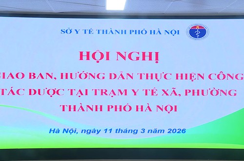 Sở Y tế Hà Nội giao ban, tập huấn, hướng dẫn thực hiện công tác dược cho 126 trạm y tế xã, phường