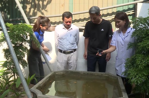 Chủ động các biện pháp phòng chống sốt xuất huyết tại cộng đồng