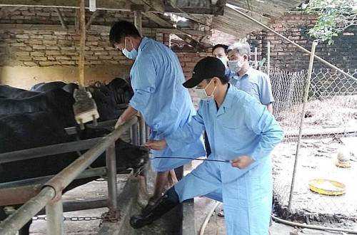 Hà Nội ủy quyền cho Giám đốc Sở Nông nghiệp và Môi trường giải quyết 28 thủ tục hành chính lĩnh vực Chăn nuôi, Thủy sản và Thú y