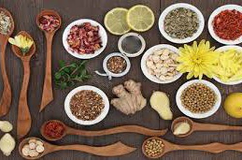 Thu hồi dược liệu Ý dĩ không đạt tiêu chuẩn chất lượng