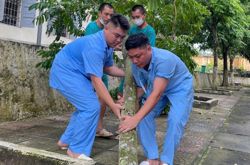 Chủ động phòng chống bão lụt – sẵn sàng ứng phó với thiên tai
