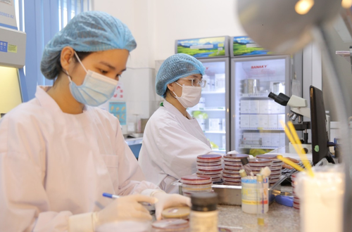 Ngành y tế Hà Nội lên phương án đáp ứng y tế phục vụ các hoạt động kỷ niệm 80 năm Quốc khánh