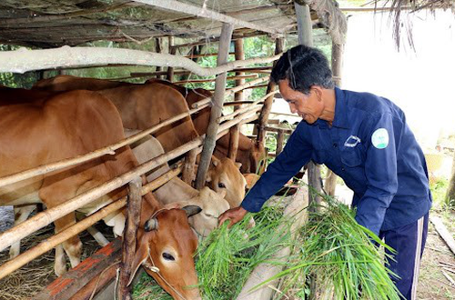 Hà Nội phê duyệt 10 quy trình giải quyết thủ tục hành chính lĩnh vực Kinh tế hợp tác và Phát triển nông thôn; Giảm nghèo