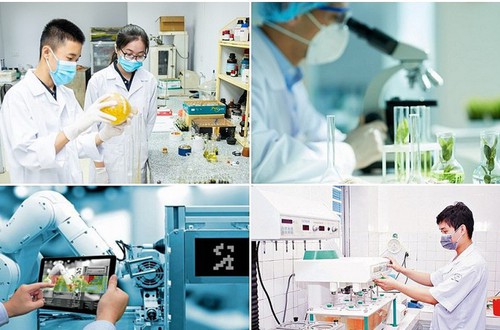 Hà Nội phê duyệt 181 quy trình điện tử trong lĩnh vực Khoa học và Công nghệ thuộc phạm vi chức năng quản lý nhà nước của Sở Khoa học và Công nghệ