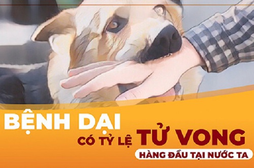 Ngành y tế Hà Nội: Tổ chức các hoạt động hưởng ứng Ngày thế giới phòng chống bệnh dại