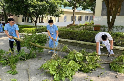 Chủ động ứng phó với cơn bão số 9 - Ragasa