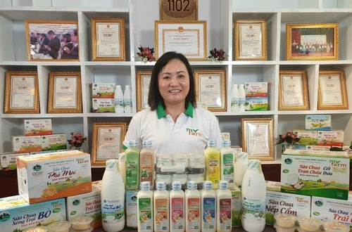 Hà Nội đẩy mạnh tuyên truyền phát triển kinh tế tư nhân theo Nghị quyết 68-NQ/TW