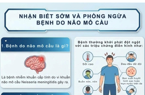 Nhận biết sớm và phòng ngừa bệnh do não mô cầu