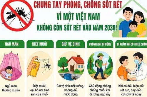 Hà Nội thực hiện tốt công tác phòng chống sốt rét, duy trì bền vững kết quả loại trừ bệnh