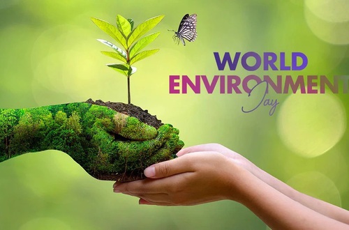 Ngày Môi trường thế giới năm 2026: 