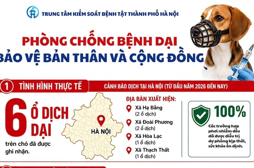 Phòng, chống bệnh dại - Bảo vệ bản thân và cộng đồng