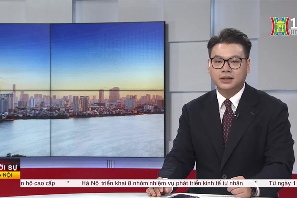 Dân chủ trí tuệ góp ý dự thảo báo cáo chính trị.