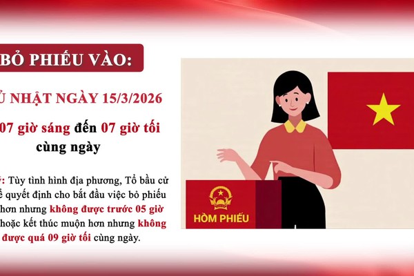 
3. Một số quy định nguyên tắc, trình tự bỏ phiếu bầu cử